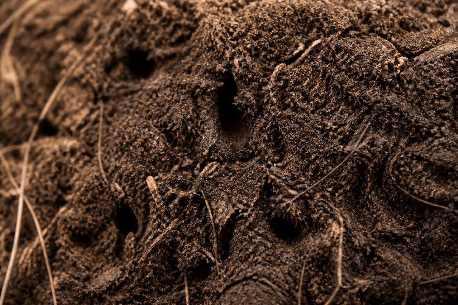 Gartenerde vs. Humuserde: Was ist der Unterschied?